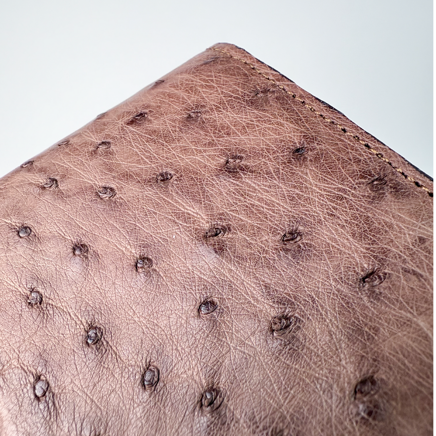 CARTERA AVESTRUZ CAFÉ