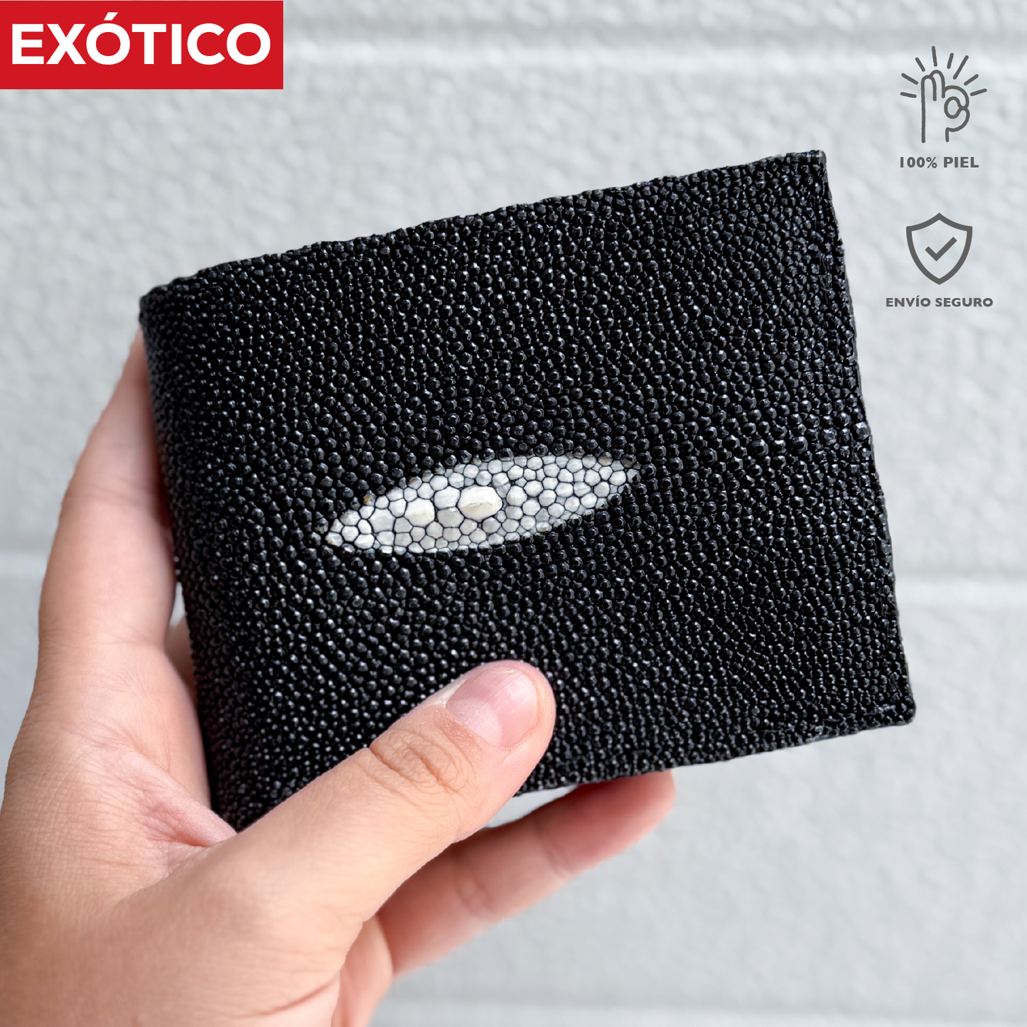 CARTERA MANTARRAYA