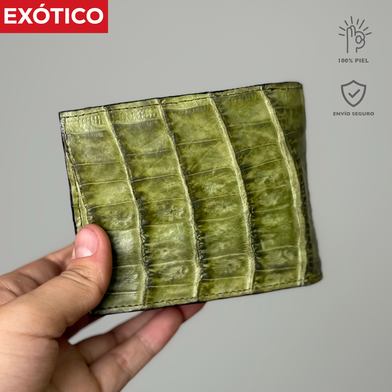 CARTERA EL EXÓTICO GREEN