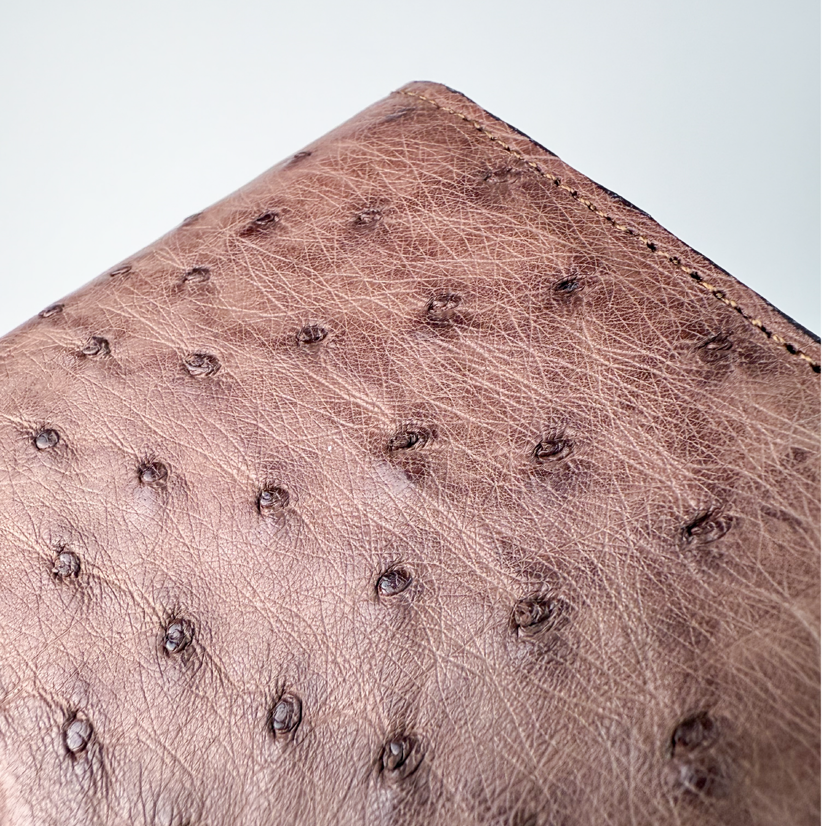 CARTERA AVESTRUZ CAFÉ