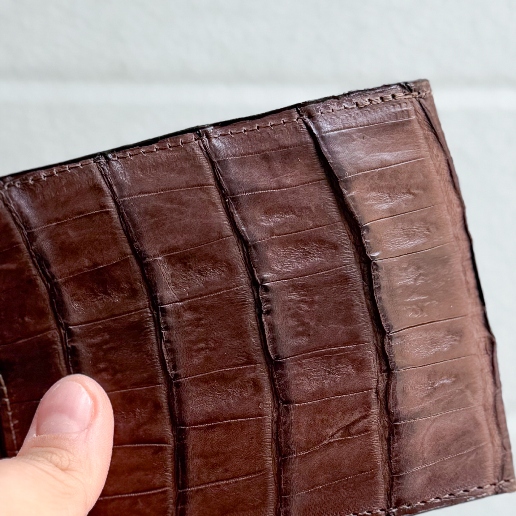 CARTERA EL EXÓTICO CAFÉ COCODRILO