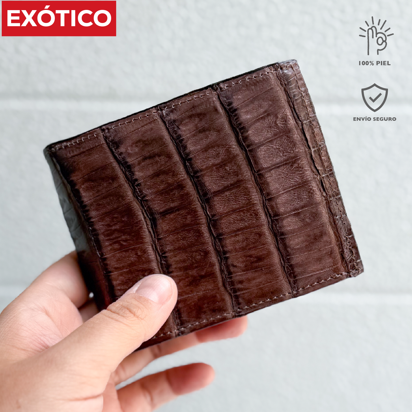 CARTERA EL EXÓTICO CAFÉ COCODRILO