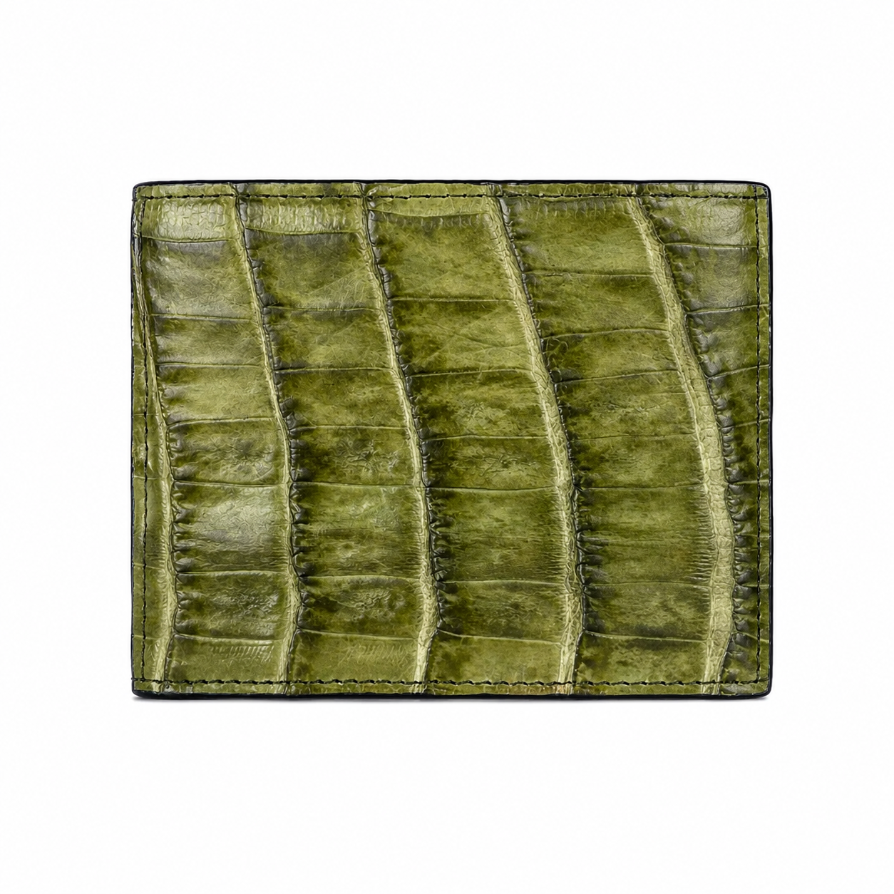 CARTERA EL EXÓTICO GREEN