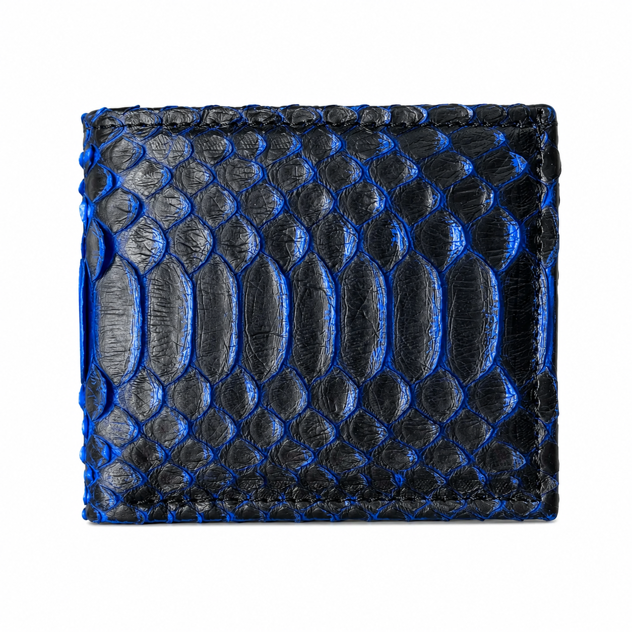 CARTERA SERPIENTE  BLUE