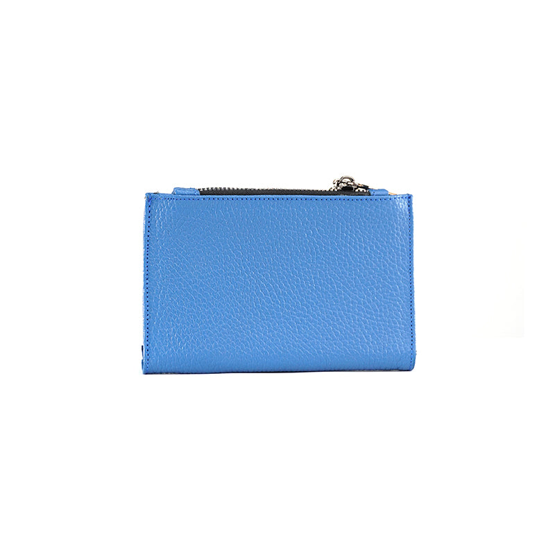 CARTERA EL PRÁCTICO AZUL
