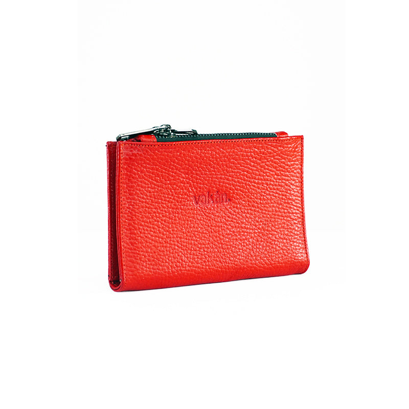 CARTERA EL PRÁCTICO RED