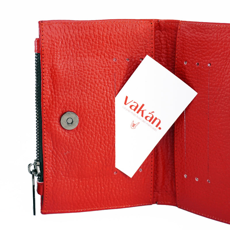 CARTERA EL PRÁCTICO RED