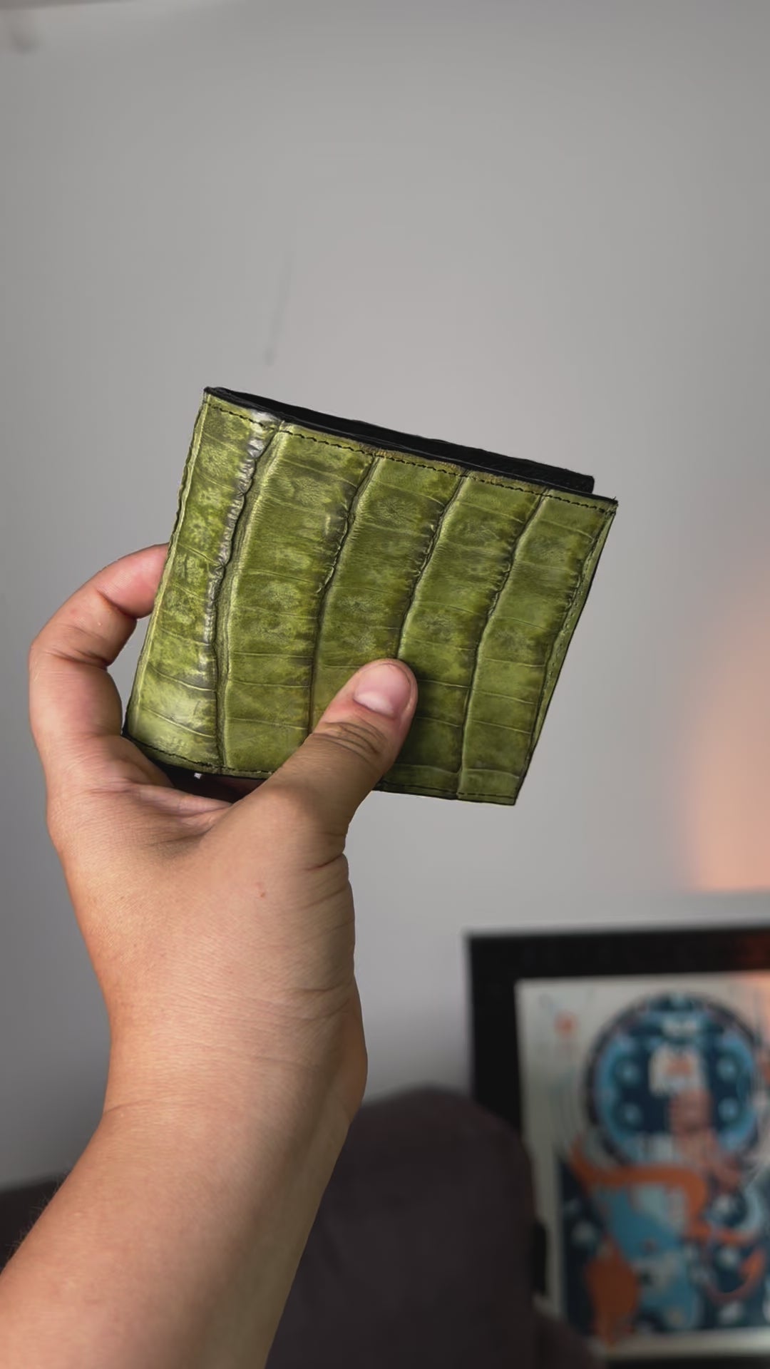 CARTERA EL EXÓTICO GREEN